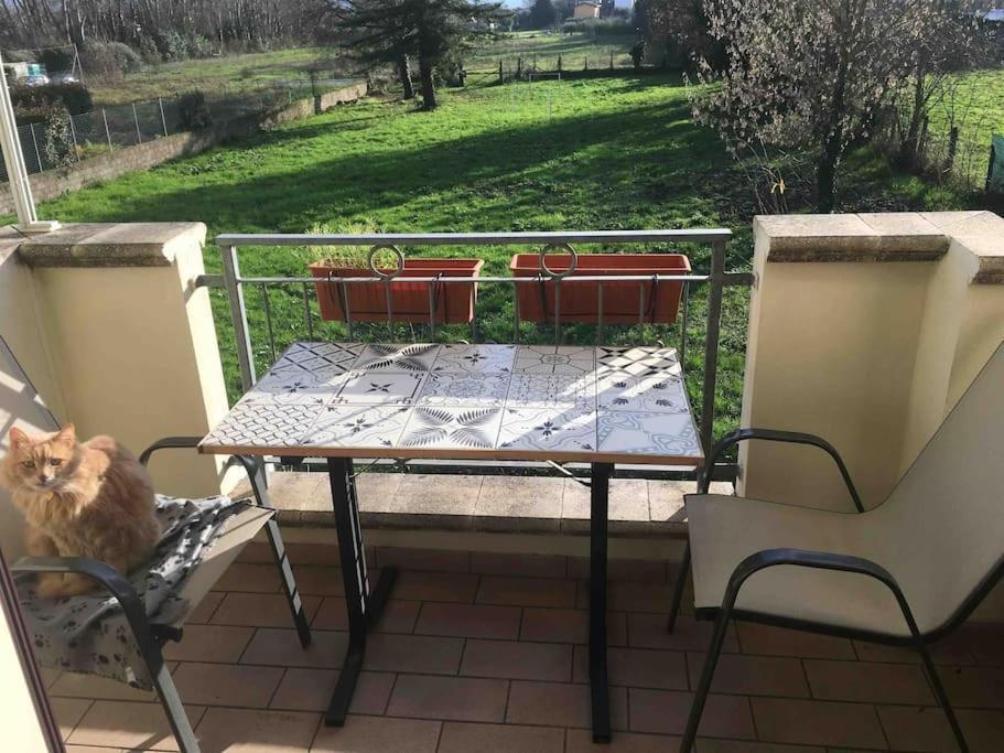 Piccolo Borgo Apartamento Lucca Exterior foto
